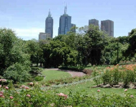 Melbourne city skyline from the gardens